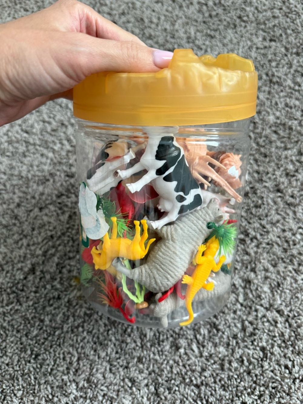 Mini Animal Figurines
